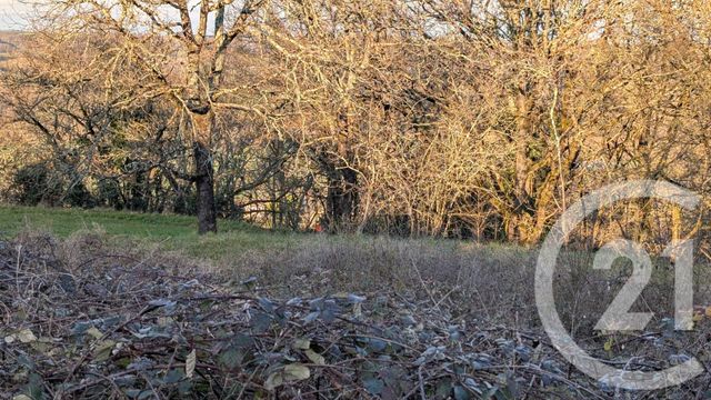 terrain à vendre - 1603.0 m2 - BEAUVILLE - 47 - AQUITAINE - Century 21 Bastien Gonzalez