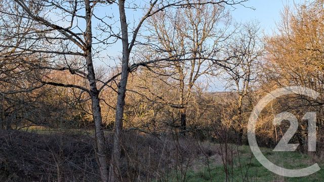 terrain à vendre - 1603.0 m2 - BEAUVILLE - 47 - AQUITAINE - Century 21 Bastien Gonzalez