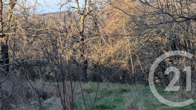 terrain à vendre - 1603.0 m2 - BEAUVILLE - 47 - AQUITAINE - Century 21 Bastien Gonzalez