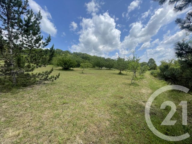 terrain à vendre - 3000.0 m2 - ST JEAN DE THURAC - 47 - AQUITAINE - Century 21 Bastien Gonzalez