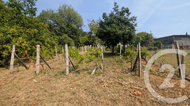 maison à vendre - 6 pièces - 124.89 m2 - COLAYRAC ST CIRQ - 47 - AQUITAINE - Century 21 Bastien Gonzalez